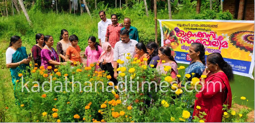 വനിതാ കൂട്ടായ്മകളിൽ പൂക്കാലം; ന്യൂമാഹിയിൽ പുഷ്പകൃഷിയുടെ വിളവെടുപ്പ് തുടങ്ങി