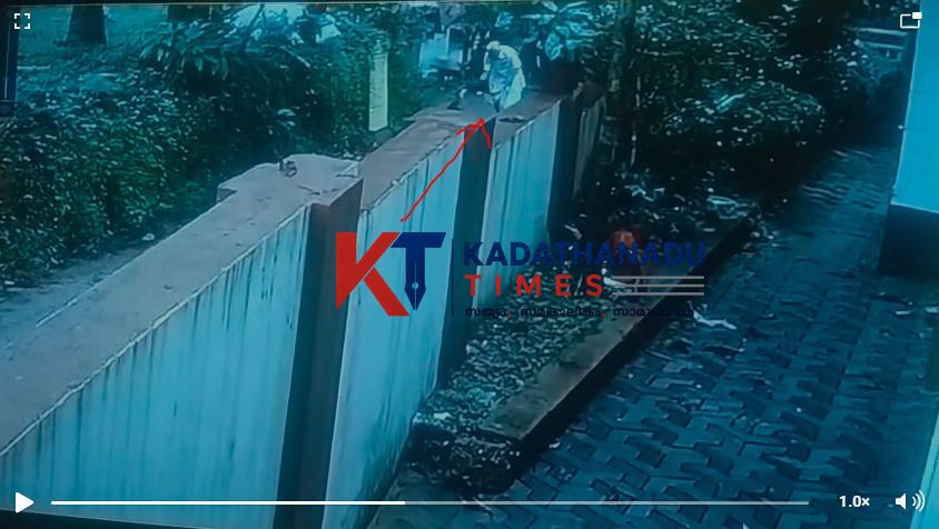 എടക്കണ്ടി കുന്ന് പരിസരത്ത് തെരുവുനായ ശല്യം; ഇലക്ട്രീഷ്യൻ ബാലനും മറ്റൊരാൾക്കും കടിയേറ്റു