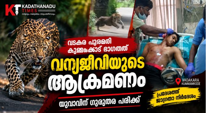 Vadakara puli attack youngster in kummamkode